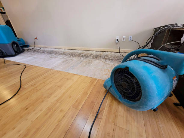 Professional Flood Damage Cleanup technician working in Picayune, MS